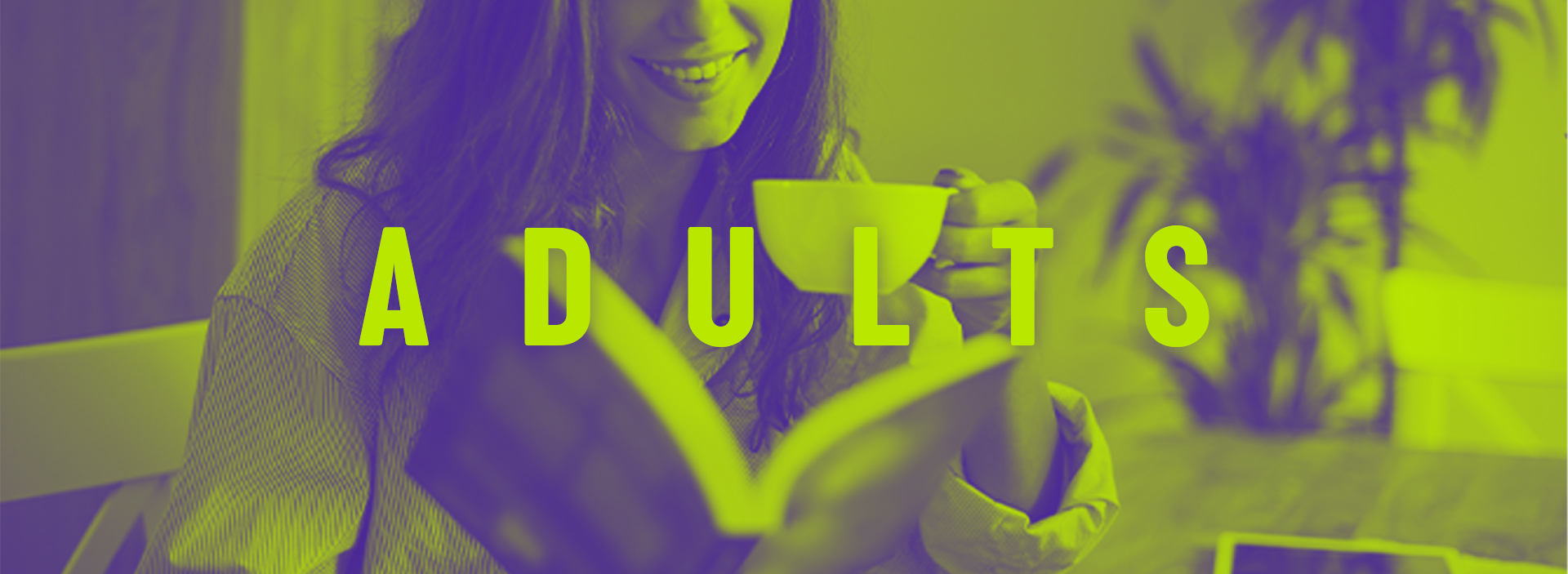 Curso Adults